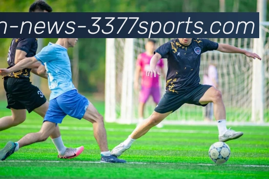 3377体育平台生态图